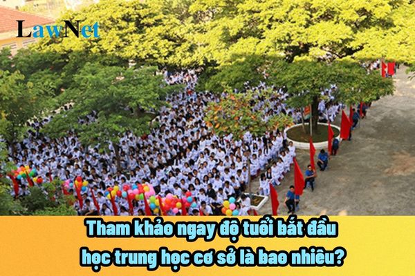 Tham khảo ngay độ tuổi bắt đầu học trung học cơ sở là bao nhiêu? Học sinh trung học cơ sở có hạnh kiểm trung bình thì có được lên lớp hay không?