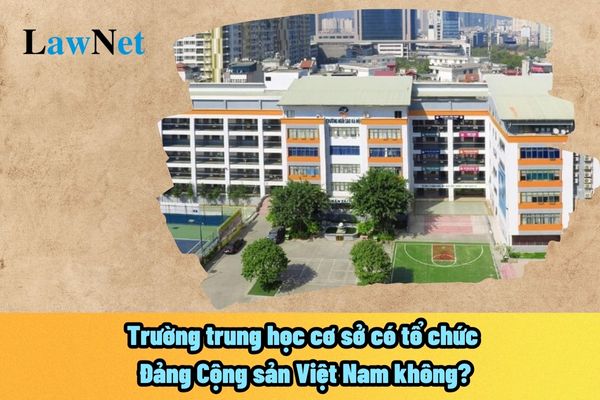 Trường trung học cơ sở có tổ chức Đảng Cộng sản Việt Nam không? Trường trung học cơ sở có loại hình công lập và tư thục không?