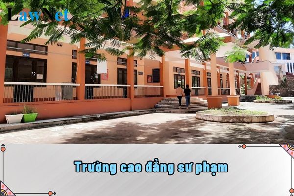 Trường cao đẳng sư phạm xác định chỉ tiêu tuyển sinh theo quy định nào?