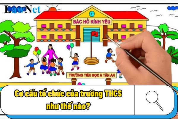 Cơ cấu tổ chức của trường trung học cơ sở