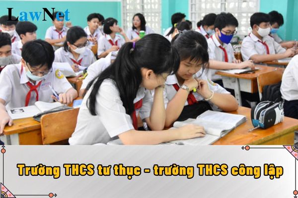 So sánh trường THCS tư thục với trường THCS công lập như thế nào?