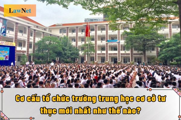 Cơ cấu tổ chức trường trung học cơ sở tư thục mới nhất như thế nào?