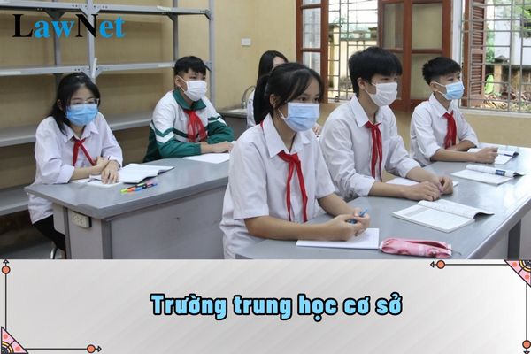 Trường trung học cơ sở tổ chức lớp học như thế nào?