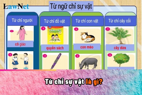 Từ chỉ sự vật là gì? Kèm theo ví dụ và bài tập đầy đủ? Từ chỉ sự vật học ở lớp mấy?