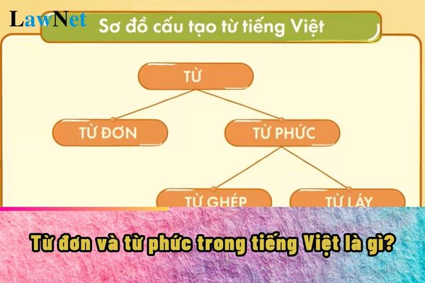 Từ đơn và từ phức trong tiếng Việt là gì? Từ đơn và từ phức học sinh sẽ được học trong chương trình môn Tiếng Việt lớp mấy?