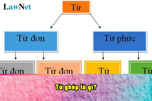 Từ ghép là gì? Từ ghép sẽ học trong chương trình giáo dục môn Tiếng Việt?