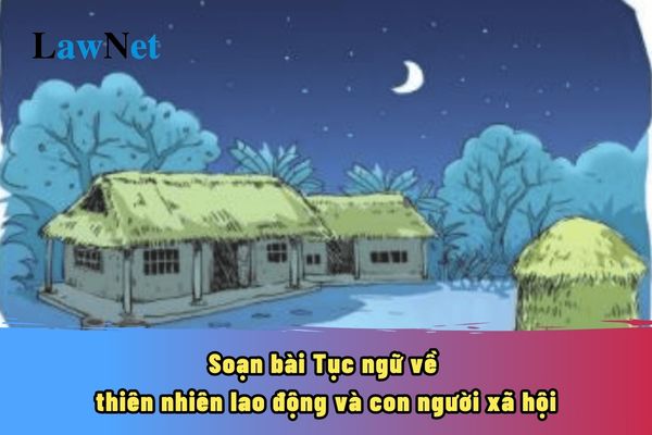 Soạn bài Tục ngữ về thiên nhiên lao động và con người xã hội? Học sinh lớp 7 bắt buộc phải học môn Âm nhạc không?