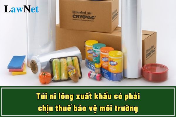 Doanh nghiệp sản xuất túi ni lông xuất khẩu có phải chịu thuế bảo vệ môi trường?