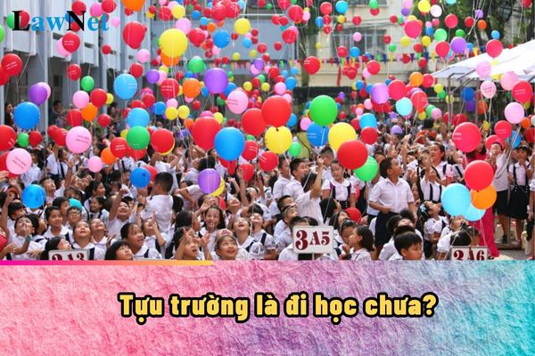 Tựu trường là đi học chưa? Nguyên tắc mặc đồng phục học sinh lớp 1?