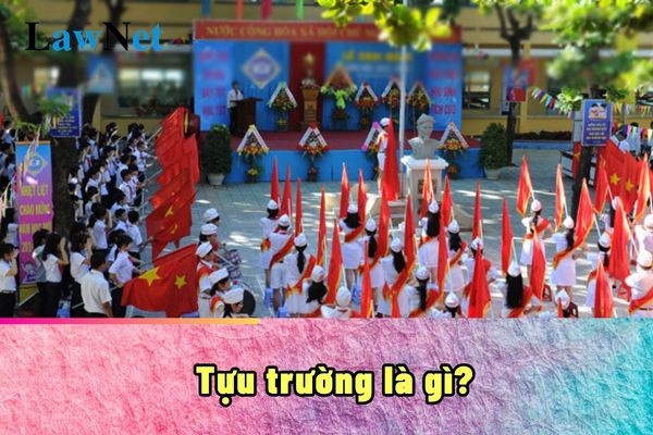 Tựu trường là gì? Học sinh lớp 10 năm 2024 là bao nhiêu tuổi?