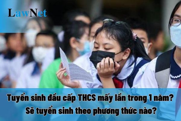 Tuyển sinh đầu cấp THCS mấy lần trong 1 năm? Sẽ tuyển sinh theo phương thức nào?