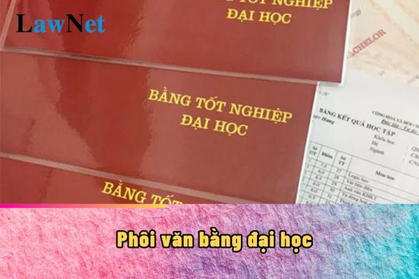 Trường đại học có được phép tự thiết kế phôi văn bằng đại học không?