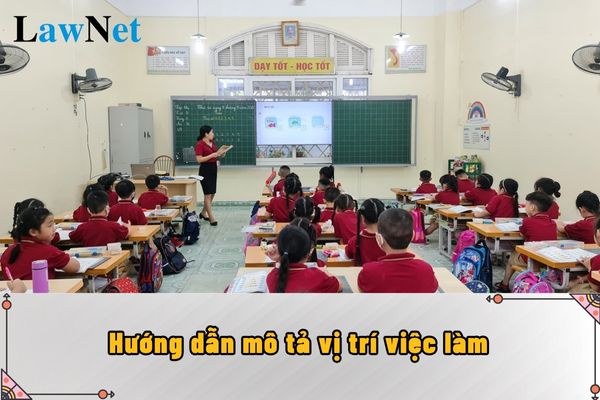 Hướng dẫn mô tả vị trí việc làm giáo viên trung học cơ sở hạng 2 ra sao?