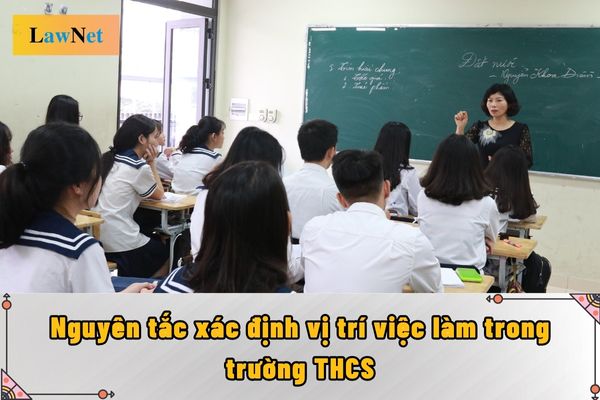 Trường trung học cơ sở công lập xác định vị trí việc làm cho người làm việc theo nguyên tắc nào?