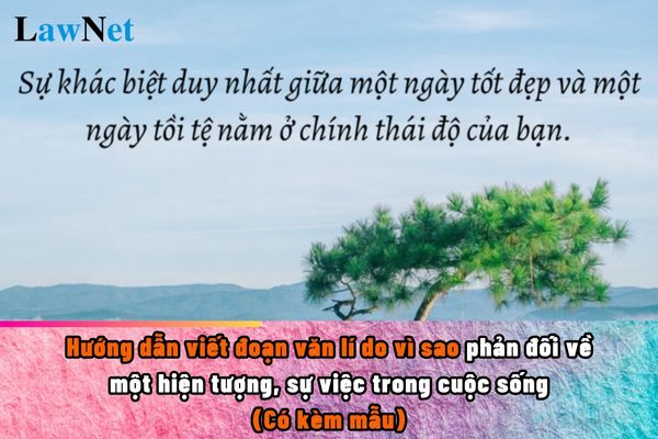 Hướng dẫn viết đoạn văn lí do vì sao phản đối về một hiện tượng, sự việc trong cuộc sống?