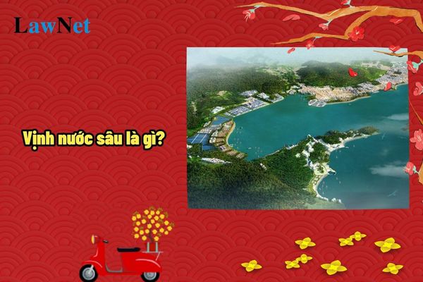 What is a Deep-Water Bay? Bays in the Vietnamese maritime region will be studied in the History and Geography curriculum of which grade?