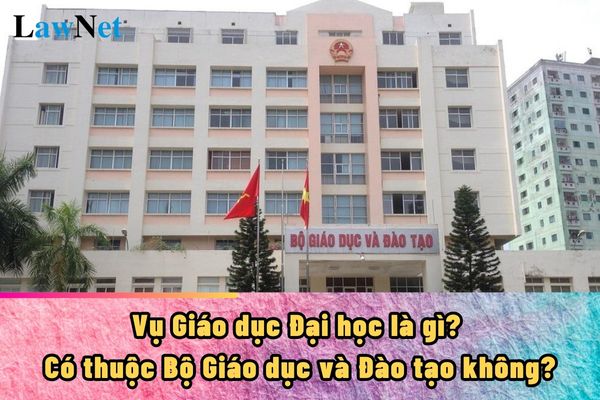 Vụ Giáo dục Đại học là gì? Có thuộc Bộ Giáo dục và Đào tạo không?