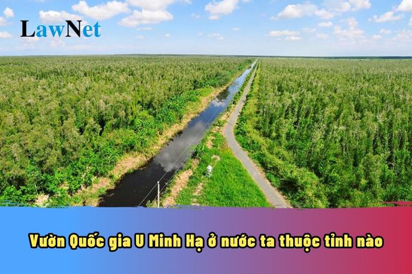 Vườn Quốc gia U Minh Hạ ở nước ta thuộc tỉnh nào? Thực hành tìm hiểu Địa lí địa phương học ở lớp mấy?