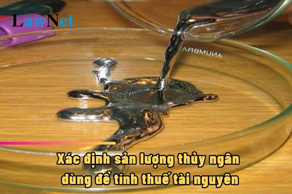 Cách xác định sản lượng thủy ngân dùng để tính thuế tài nguyên?