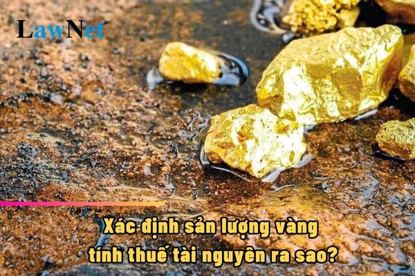 Xác định sản lượng vàng tính thuế tài nguyên ra sao?