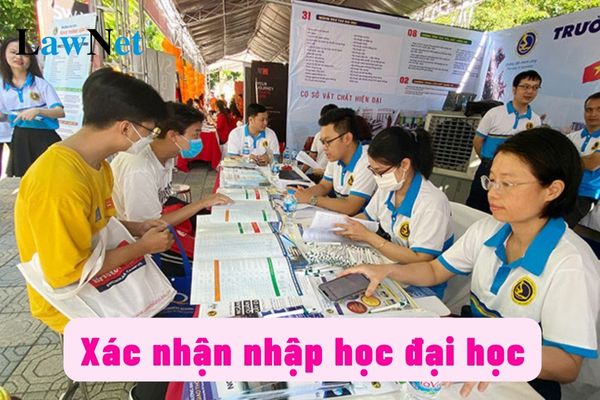 Cách xác nhận nhập học năm học 2024-2025 trên hệ thống của Bộ giáo dục và Đào tạo?