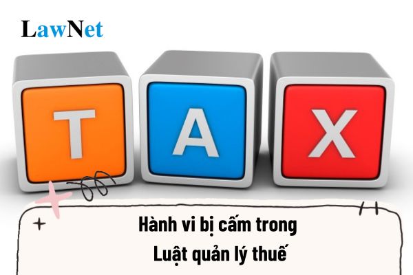 Cố tình kê khai không đầy đủ số tiền thuế phải nộp có là hành vi bị cấm trong Luật quản lý thuế hay không?