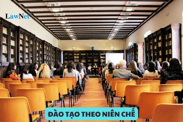 Đào tạo theo niên chế là gì? Sinh viên đào tạo theo niên chế được học tiếp năm sau khi nào?