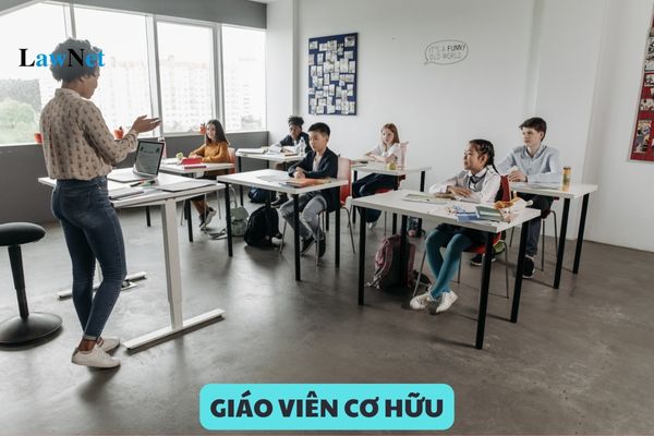 Giáo viên cơ hữu là giáo viên gì? Trường THPT tư thục phải có bao nhiêu giáo viên cơ hữu?