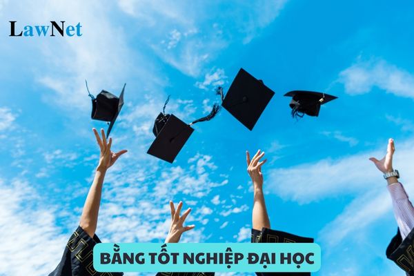 Trường hợp nào sinh viên bị hạ bằng tốt nghiệp đại học?