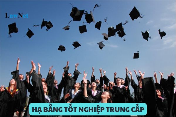 Trường hợp nào bị hạ bằng tốt nghiệp trung cấp? Điều kiện tốt nghiệp trình độ trung cấp?