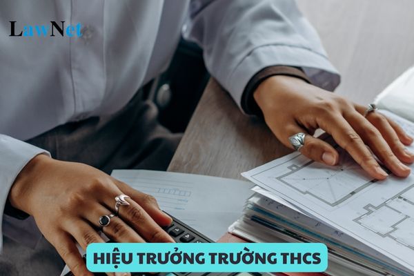 Người được bổ nhiệm làm Hiệu trưởng trường THCS phải đáp ứng những điều kiện nào?