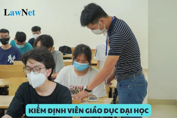 Kiểm định viên giáo dục đại học và cao đẳng sư phạm không được làm những hành vi nào?