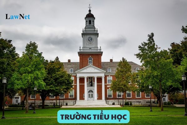 Trường tiểu học có mấy loại hình? Ai có thẩm quyền thành lập trường tiểu học?