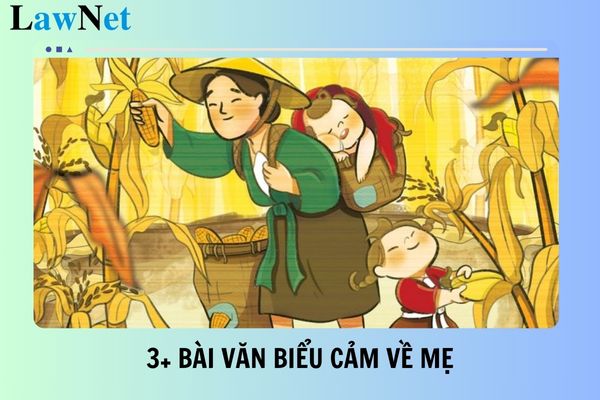 3+ bài văn biểu cảm về mẹ lớp 7 điểm cao? Ban đại điện cha mẹ học sinh lớp phải có bao nhiêu thành viên?