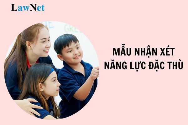 Mẫu nhận xét năng lực đặc thù theo Thông tư 27 mới nhất? Các bước tiến hành lựa chọn sách giáo khoa ở cấp tiểu học là gì?