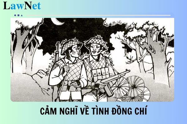 Cảm nghĩ về tình đồng chí được thể hiện trong bài thơ Đồng chí? Tiêu chí xây dựng văn hóa nhà trường đối với giáo viên lớp 8 là gì?