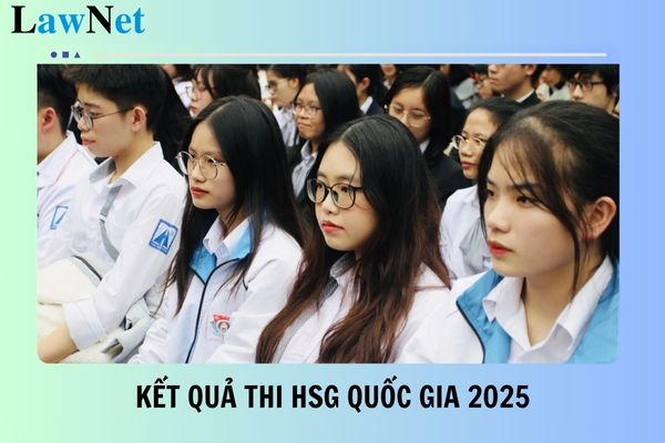 Tra cứu kết quả thi HSG quốc gia 2025 ở đâu?