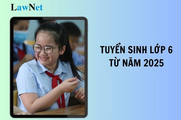 Không tổ chức thi tuyển sinh lớp 6 từ năm 2025?