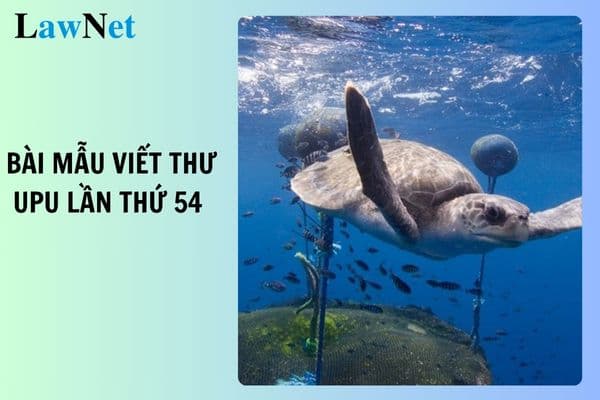 5+ Bài mẫu viết thư UPU lần thứ 54 chọn lọc, hay nhất? Giải thưởng cuộc thi viết thư UPU lần thứ 54 như thế nào?