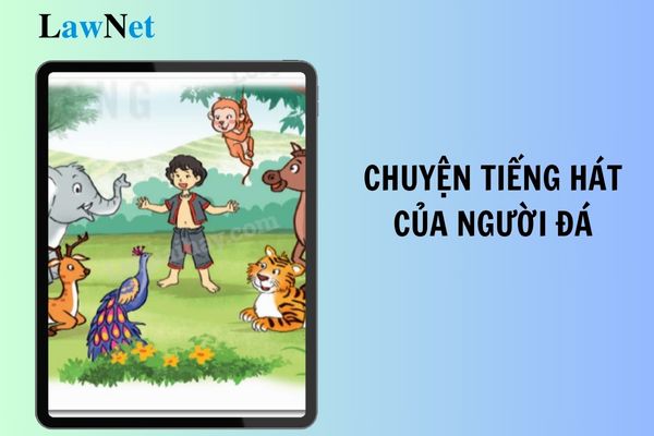 Nêu một kết thúc khác cho câu chuyện Tiếng hát của người đá? Giáo viên lớp 5 trường công có các hạng nào?