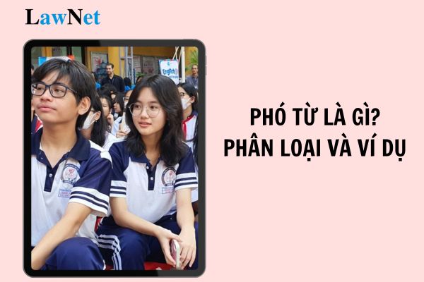 Phó từ là gì? Phân loại và ví dụ phó từ lớp 7? Học sinh lớp 7 có thể bị kỷ luật trong trường hợp nào?