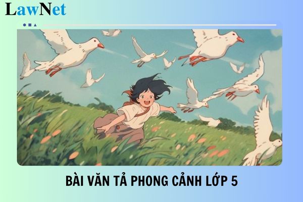 Top 10 bài văn tả phong cảnh lớp 5 ngắn gọn? Giáo viên Tiếng Việt lớp 5 dạy bao nhiêu tiết mỗi tuần?