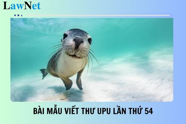 15+ bài mẫu viết thư UPU lần thứ 54 năm 2025 hay, chọn lọc? Mục tiêu giáo dục là gì?