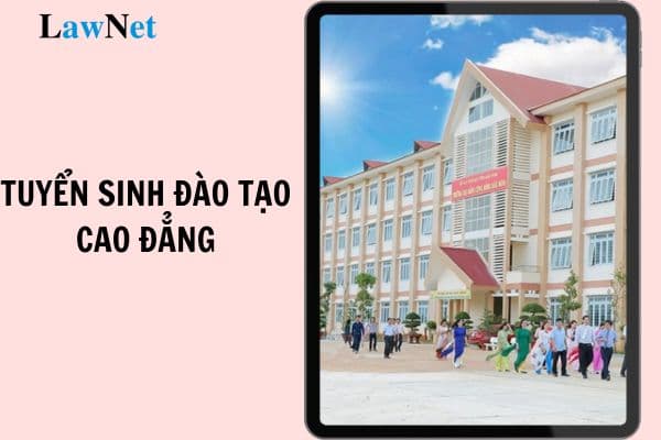 Có bằng tốt nghiệp trung cấp có được tuyển sinh đào tạo cao đẳng hay không?