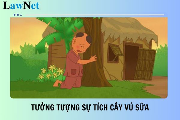 5+ Viết đoạn văn tưởng tượng Sự tích cây vú sữa lớp 4? Các yêu cầu đối với hoạt động giáo dục lớp 4?