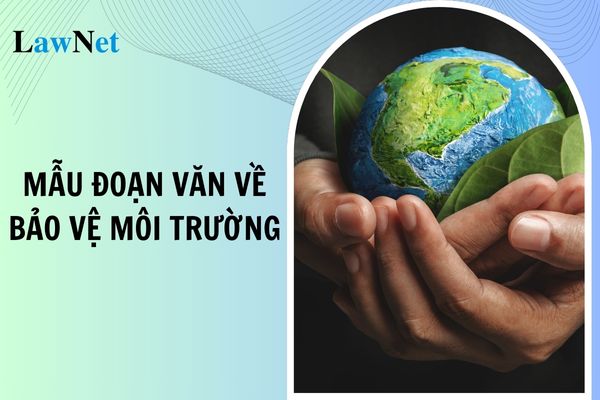 Mẫu đoạn văn về bảo vệ môi trường lớp 3 cập nhật mới nhất? Có được dạy thêm môn Tiếng Việt lớp 3?