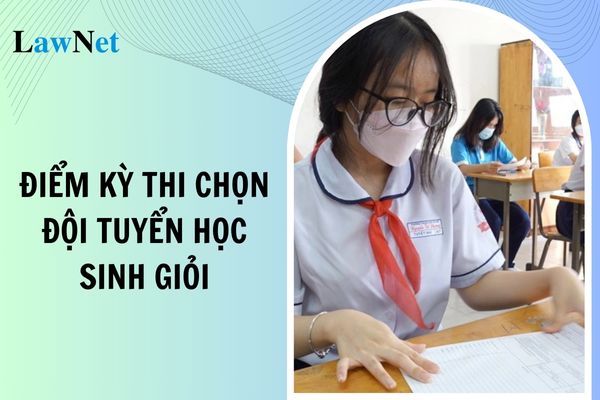 Điểm Kỳ thi chọn đội tuyển học sinh giỏi Thành phố Hà Nội năm học 2024 2025?