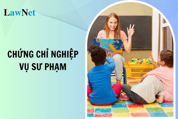 Có được dùng chứng chỉ nghiệp vụ sư phạm để thi tuyển giáo viên?