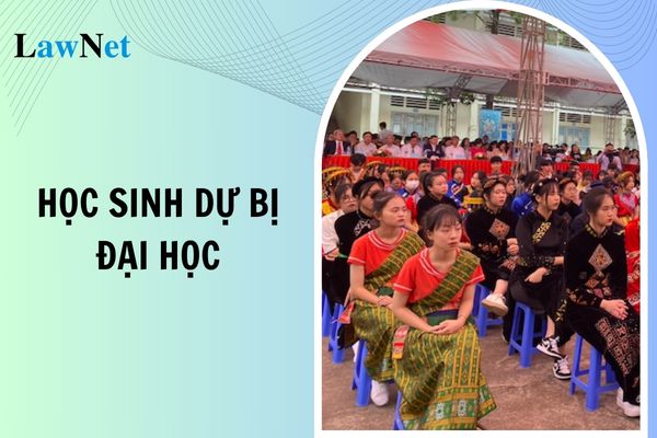 Học sinh dự bị đại học được hưởng các chế độ gì?