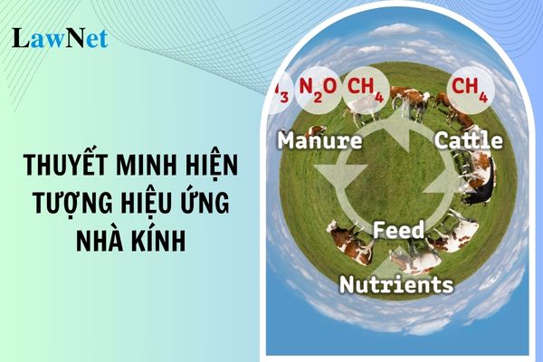 Mẫu văn bản thuyết minh giải thích hiện tượng hiệu ứng nhà kính lớp 8? Yêu cầu về viết văn bản thuyết minh đối với học sinh lớp 8?